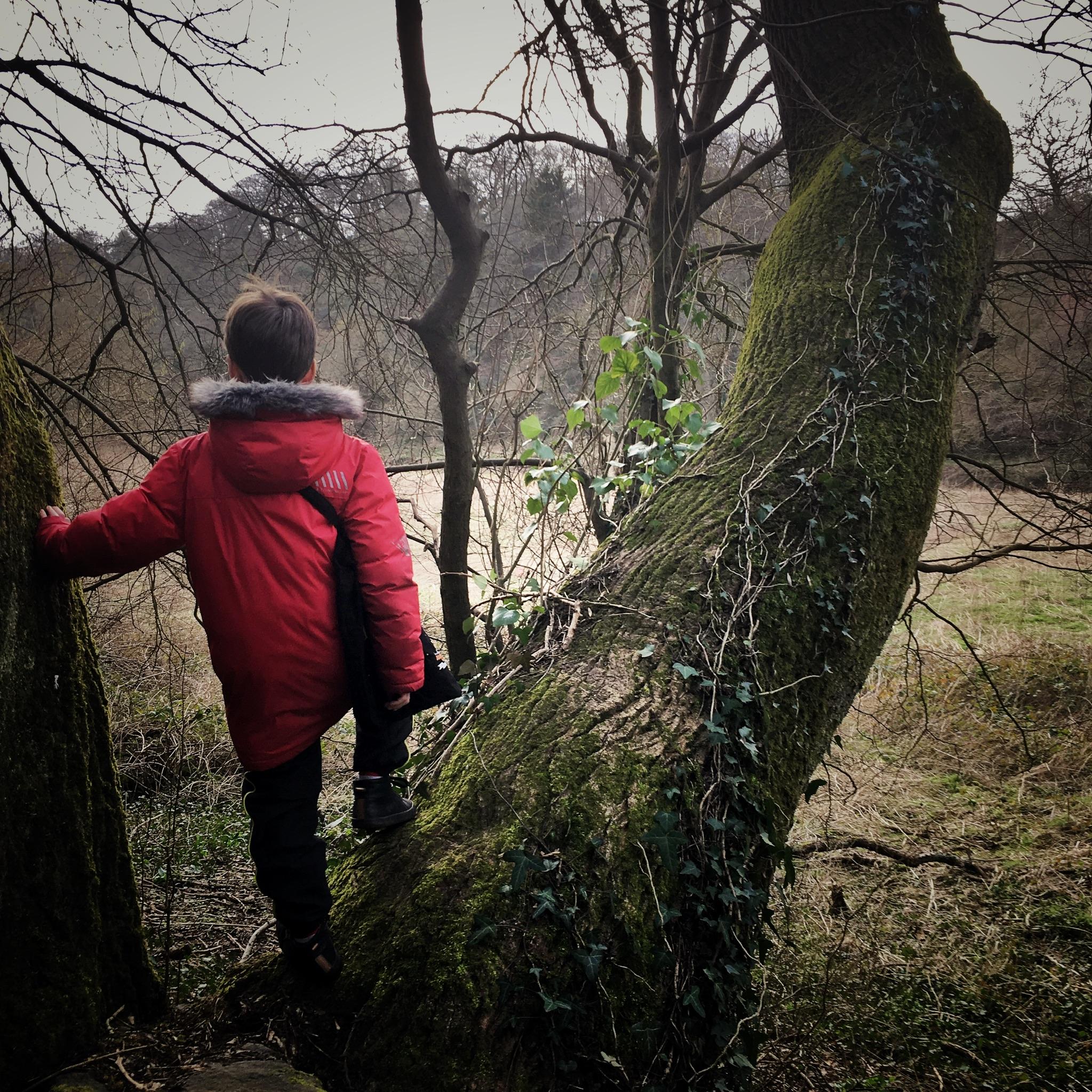 FEBRUARY FORAGE WITH THE KIDS