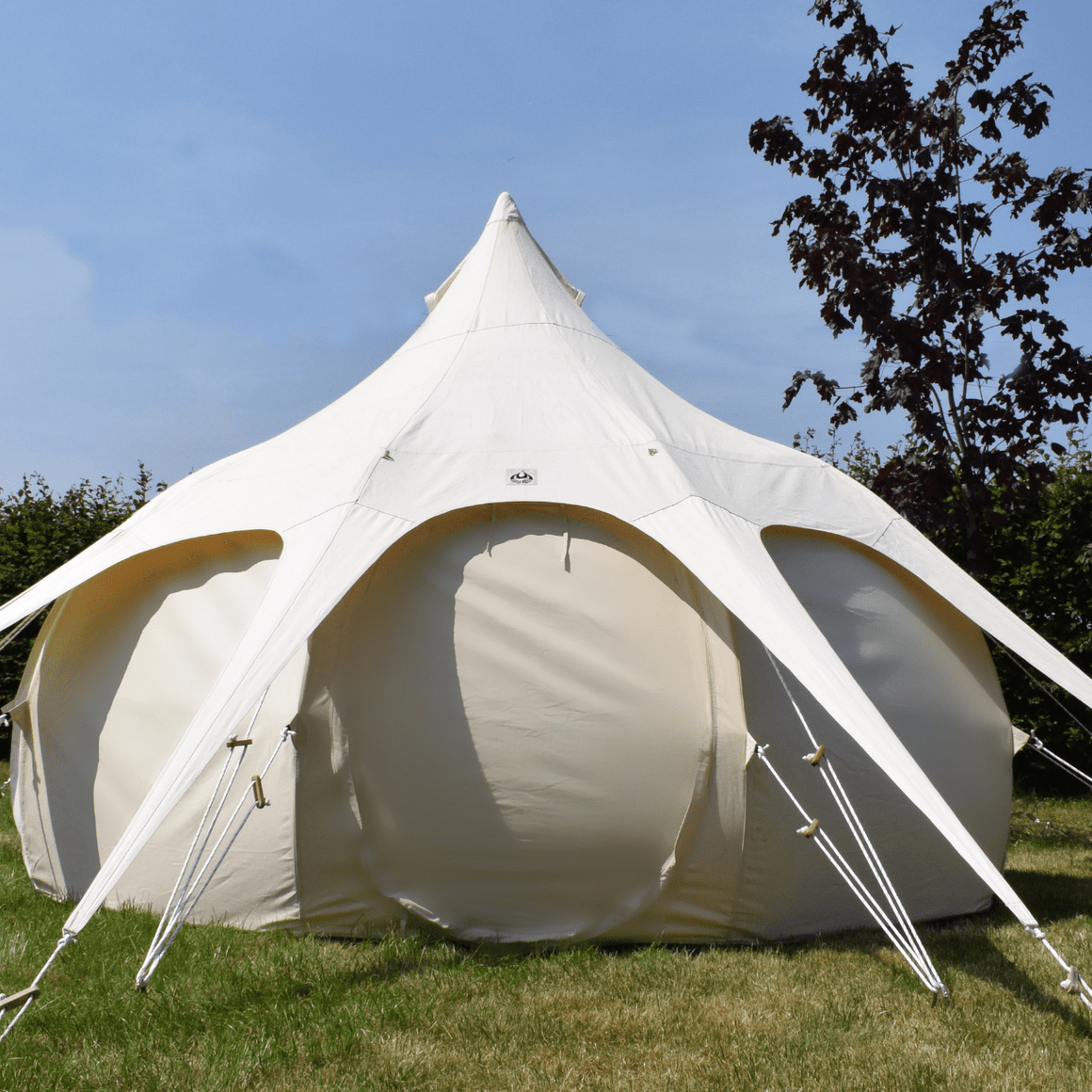 Stargazer Tents – Lotus Belle UK