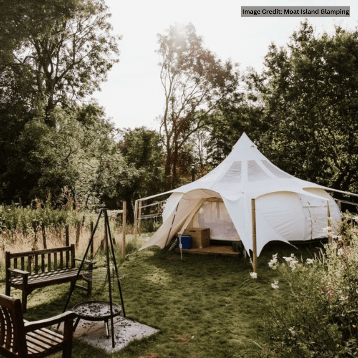 Stargazer Tents – Lotus Belle UK