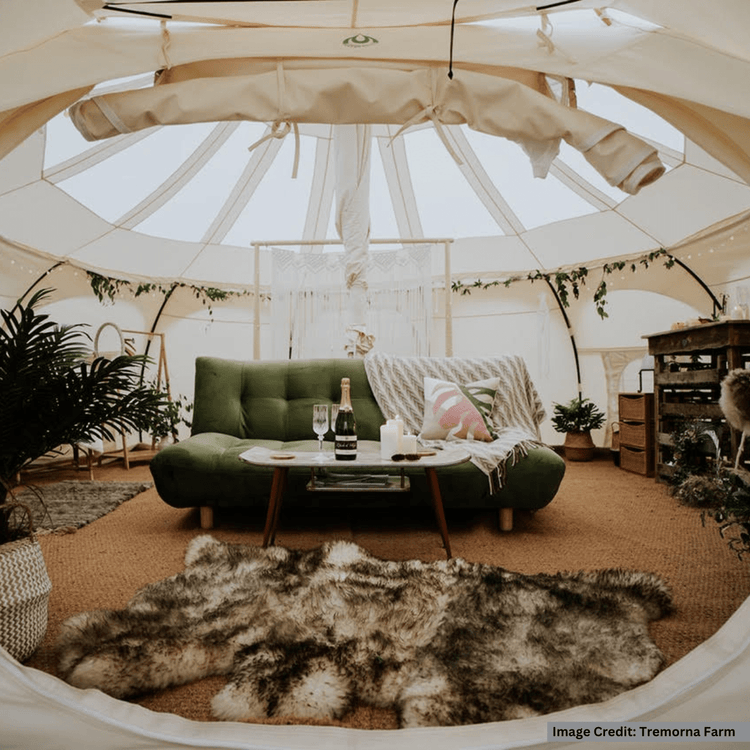 Stargazer Tents – Lotus Belle UK