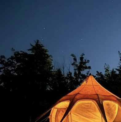 Why you should try glamping this year!
